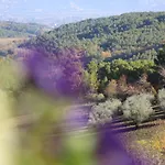Il Borgo Delle Stelle Colle del Marchese