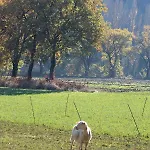 Holiday home Il Borgo Delle Stelle