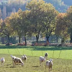 Holiday home Il Borgo Delle Stelle Colle del Marchese