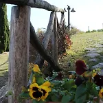 Il Borgo Delle Stelle