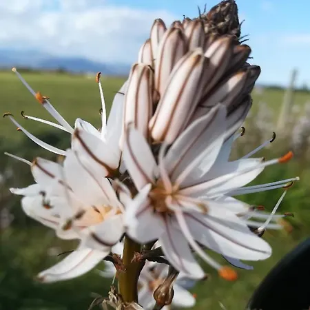 Casa de Férias Il Borgo Delle Stelle