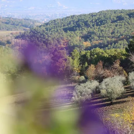 Il Borgo Delle Stelle Colle del Marchese