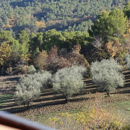 Il Borgo Delle Stelle Tatil Evi *