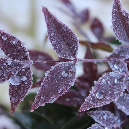 Casa de Férias Il Borgo Delle Stelle Colle del Marchese