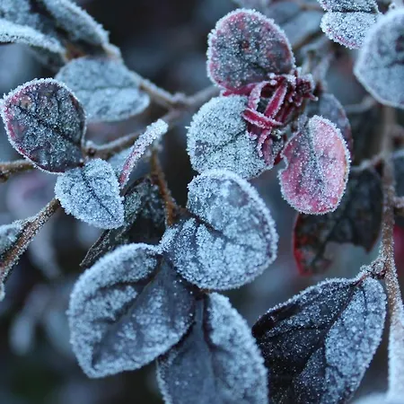 Casa de Férias Il Borgo Delle Stelle Colle del Marchese