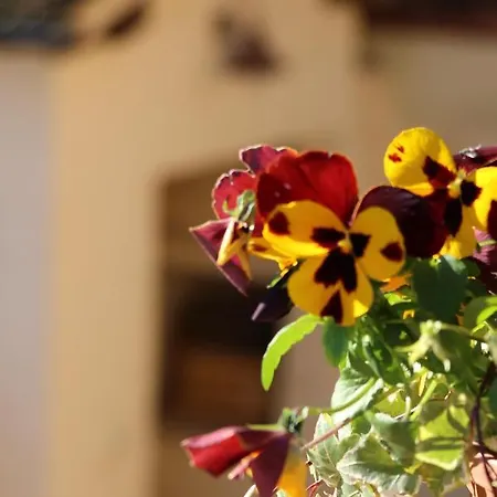 Casa de Férias Il Borgo Delle Stelle *