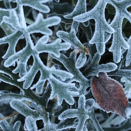 Il Borgo Delle Stelle Casa de Férias
