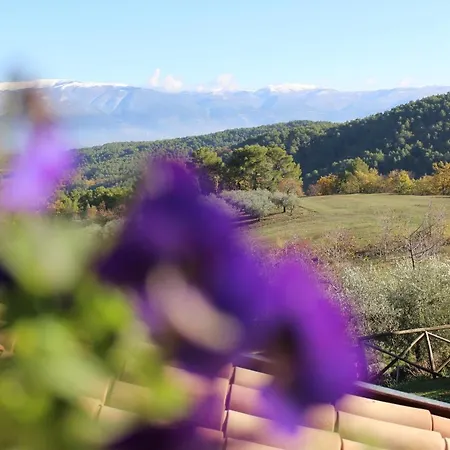 Il Borgo Delle Stelle 펜션
