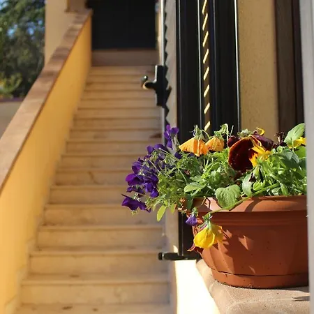 Il Borgo Delle Stelle * Colle del Marchese