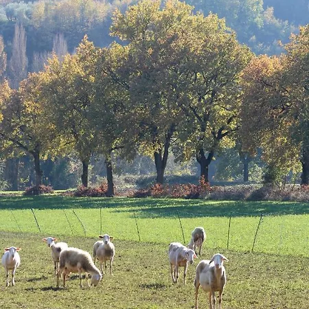 Prázdninový dům Il Borgo Delle Stelle Colle del Marchese