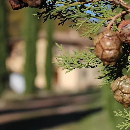 Casa de Férias Il Borgo Delle Stelle Colle del Marchese