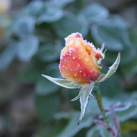 Il Borgo Delle Stelle Tatil Evi *