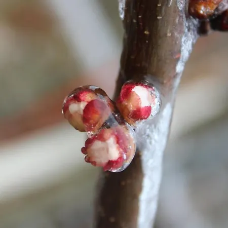 Il Borgo Delle Stelle