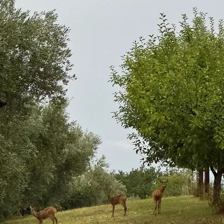 Il Borgo Delle Stelle Casa de Férias *