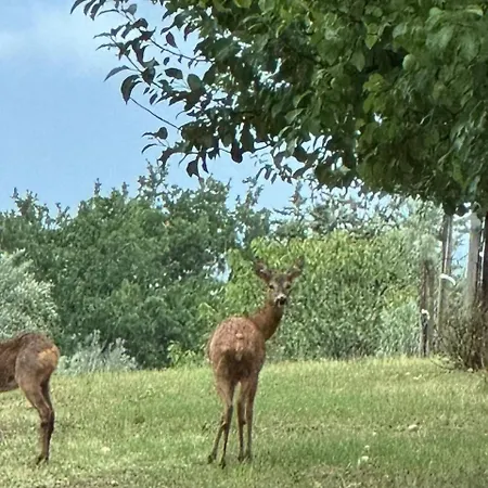 Il Borgo Delle Stelle 別荘