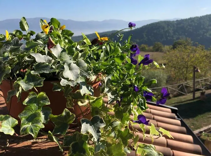 Il Borgo Delle Stelle 펜션 *