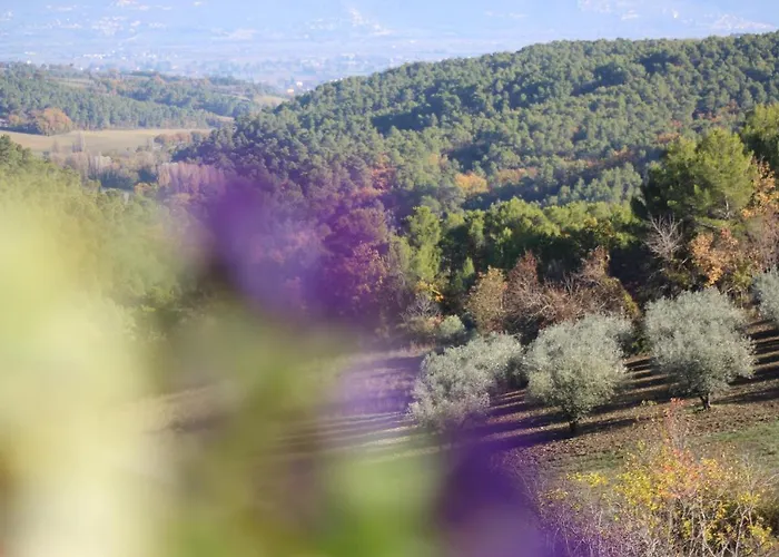 Il Borgo Delle Stelle Colle del Marchese