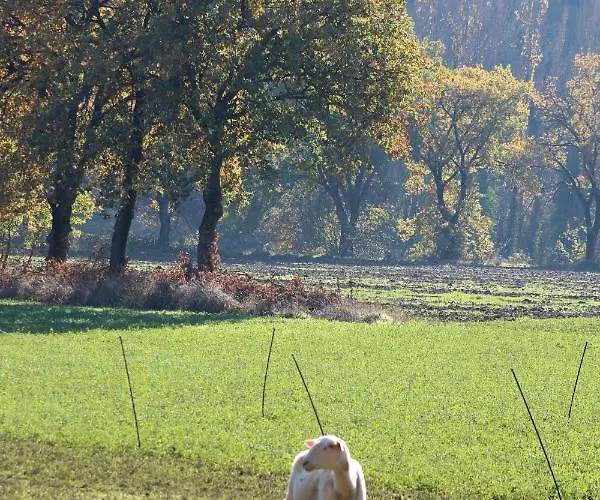 펜션 Il Borgo Delle Stelle