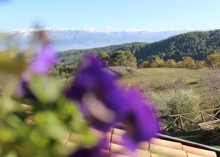 Il Borgo Delle Stelle 펜션