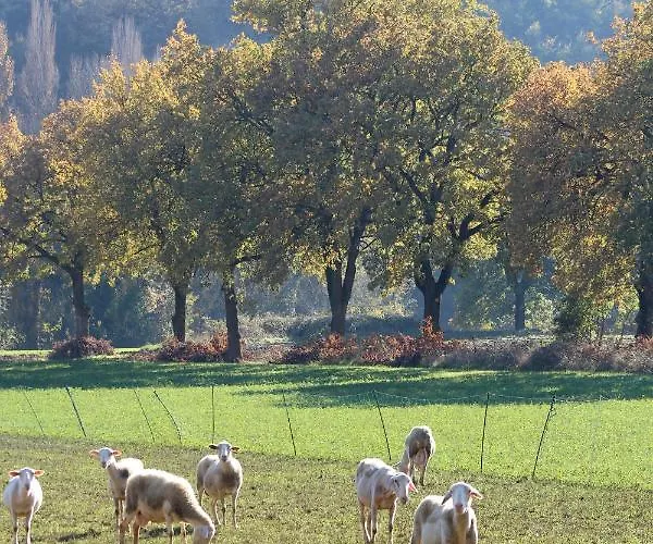 펜션 Il Borgo Delle Stelle Colle del Marchese