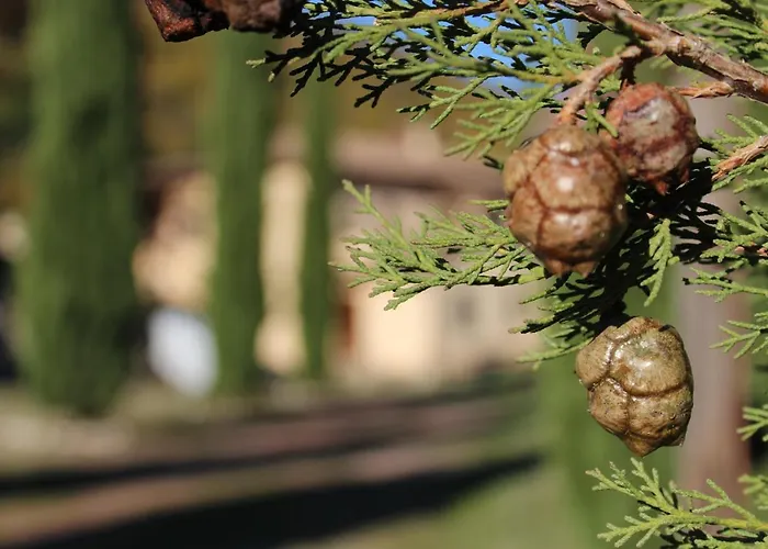 別荘 Il Borgo Delle Stelle Colle del Marchese