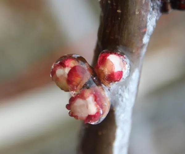 Il Borgo Delle Stelle