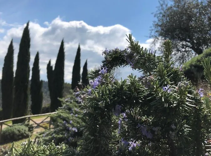 펜션 Il Borgo Delle Stelle *