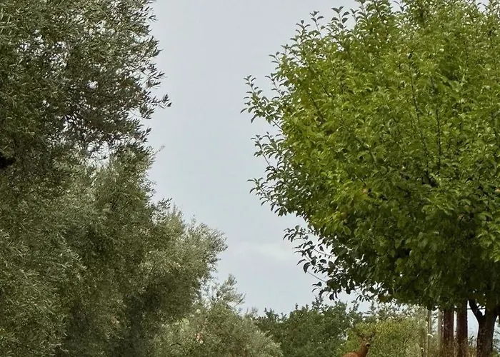 Il Borgo Delle Stelle 펜션 *