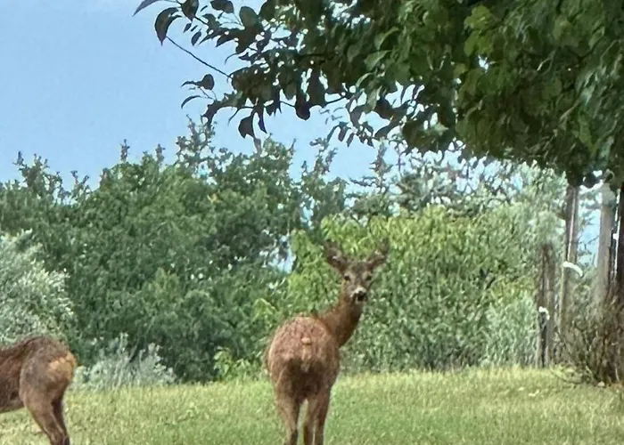 Il Borgo Delle Stelle 別荘