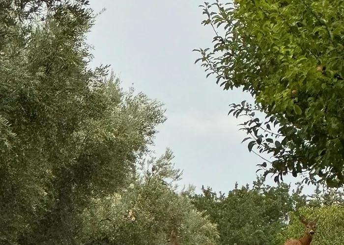 Il Borgo Delle Stelle 別荘 *